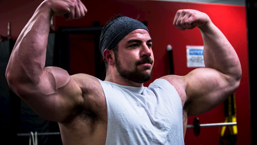 The Best Arm Workout Plan To Build Muscle