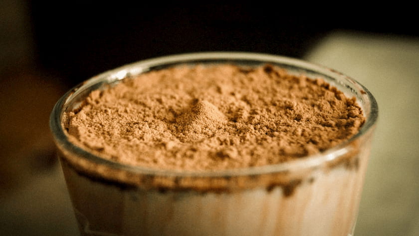 The Best Protein Powder for Women