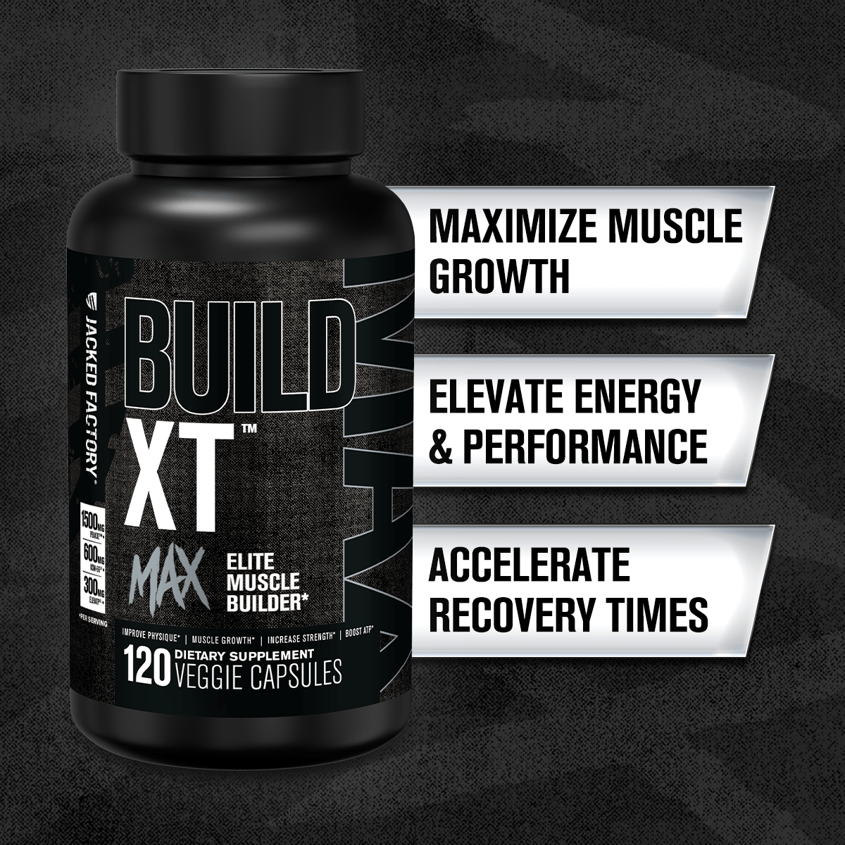 Build XT MAX - Elite Muscle Builder